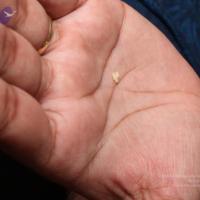 2011-08aug-19-nithyananda-photo-02f-swamiji-moon-mineral-materialization_CMP_WM